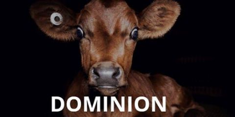 Dominion